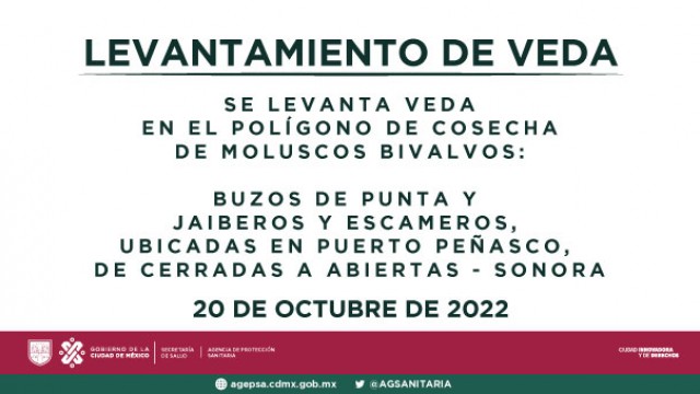 LEV_VEDA_PORTADA_PUNTA-DE-BUZOS_SONORA.jpg