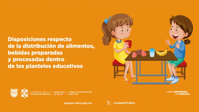 alimentos-01-01.png