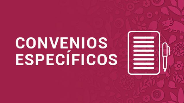 Transferencia de Recursos