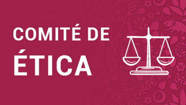 Comité de Ética